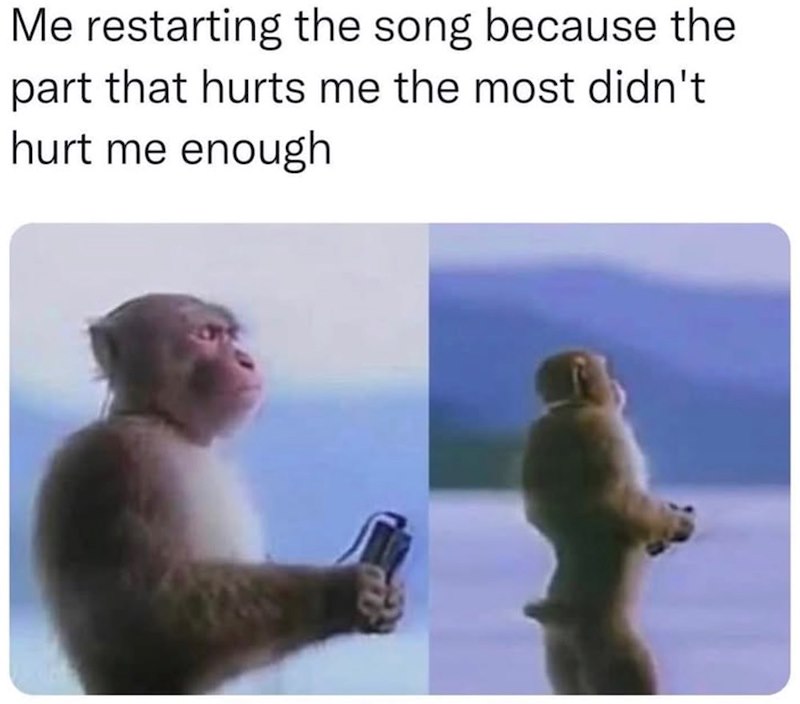 Me restarting the song because the part that hurts me the most didn't hurt me enough