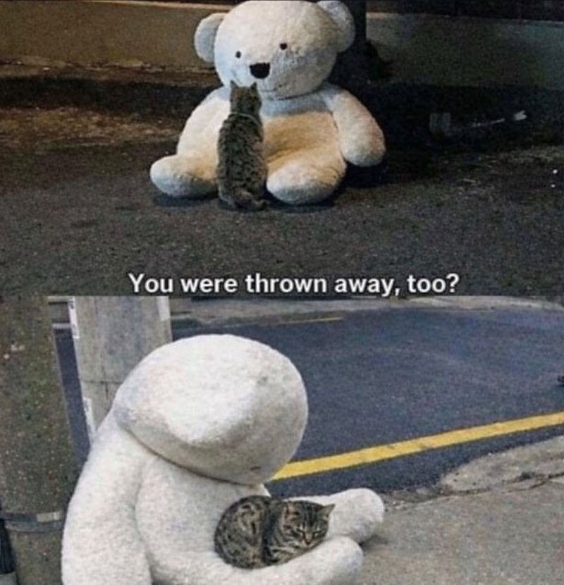 You were thrown away, too?