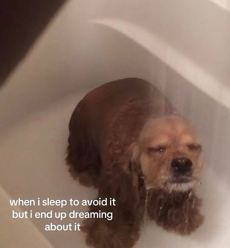 when i sleep to avoid it but i end up dreaming about it