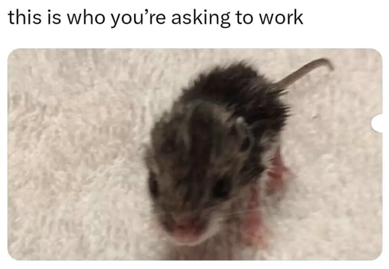 this is who you're asking to work