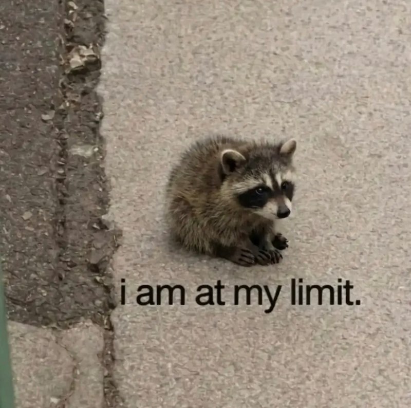 i am at my limit.