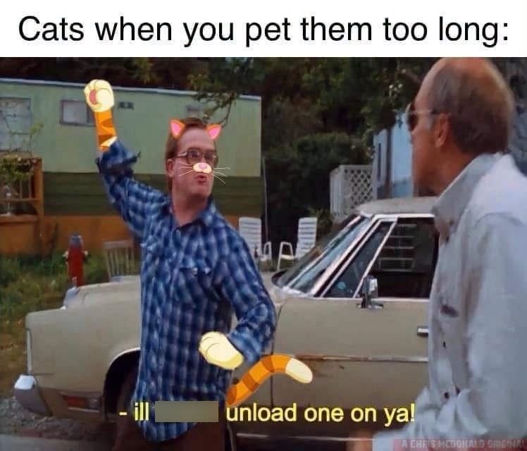 Cats when you pet them too long: unload one on ya! A CHRIS MCDONALD ORIGINAL