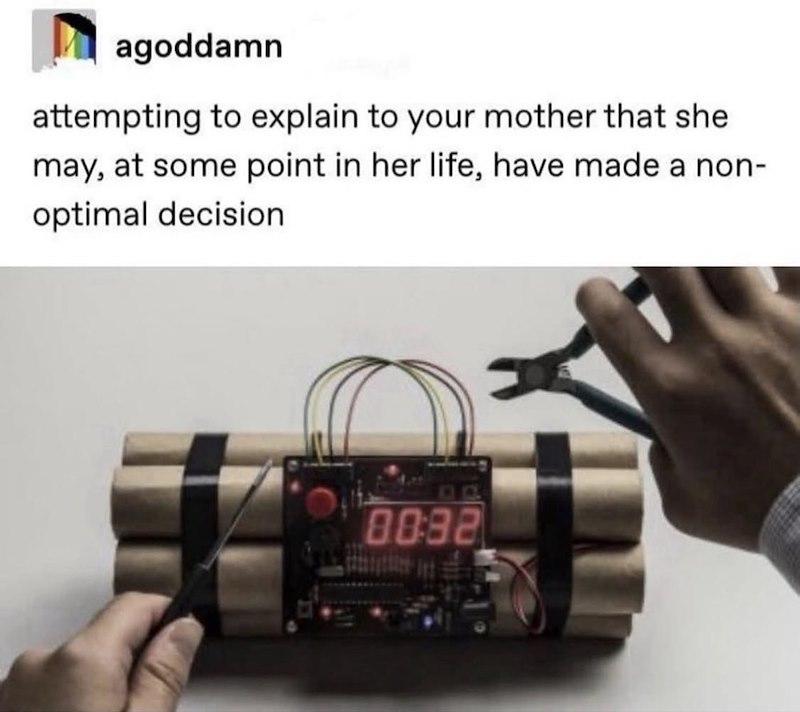agoddamn attempting to explain to your mother that she may, at some point in her life, have made a non- optimal decision 8082
