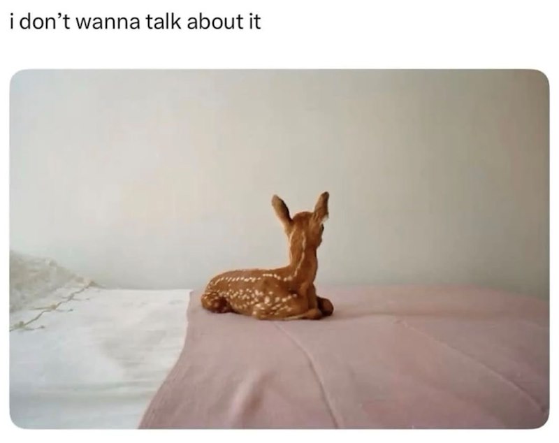 i don't wanna talk about it
