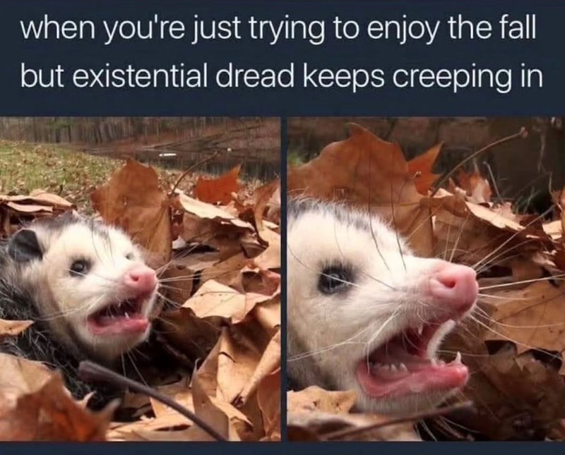 when you're just trying to enjoy the fall but existential dread keeps creeping in