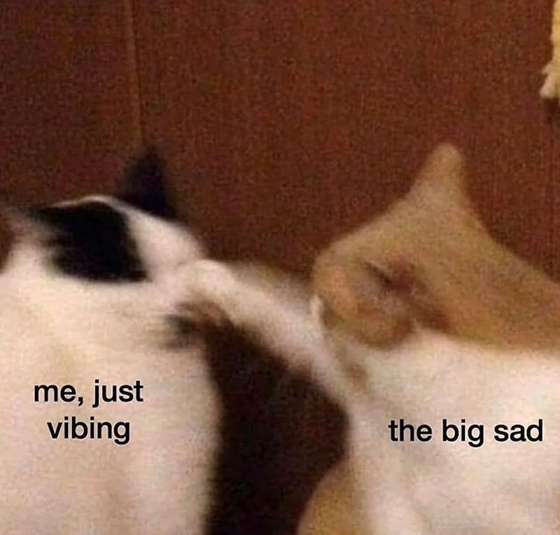 me, just vibing the big sad
