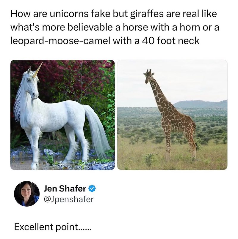 How are unicorns fake but giraffes are real like what's more believable a horse with a horn or a leopard-moose-camel with a 40 foot neck Jen Shafer @Jpenshafer Excellent point......