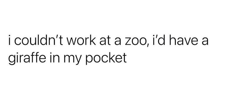 i couldn't work at a zoo, i'd have a giraffe in my pocket
