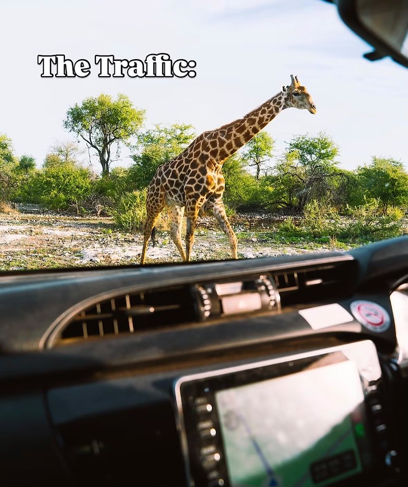 The Traffic: