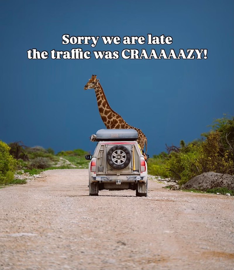 Sorry we are late the traffic was CRAAAAAZY!