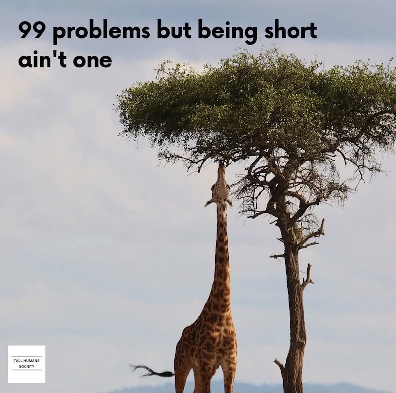 99 problems but being short ain't one TALL HUMANS SOCIETY