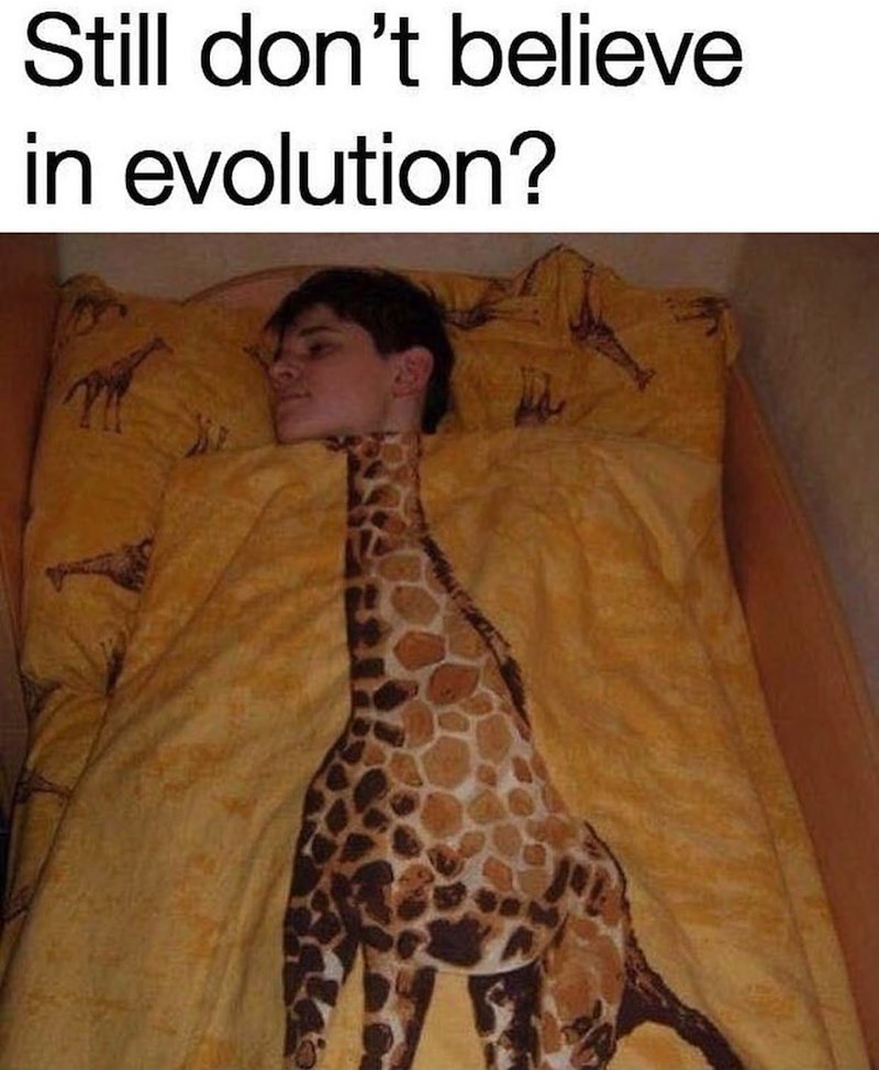 Still don't believe in evolution?