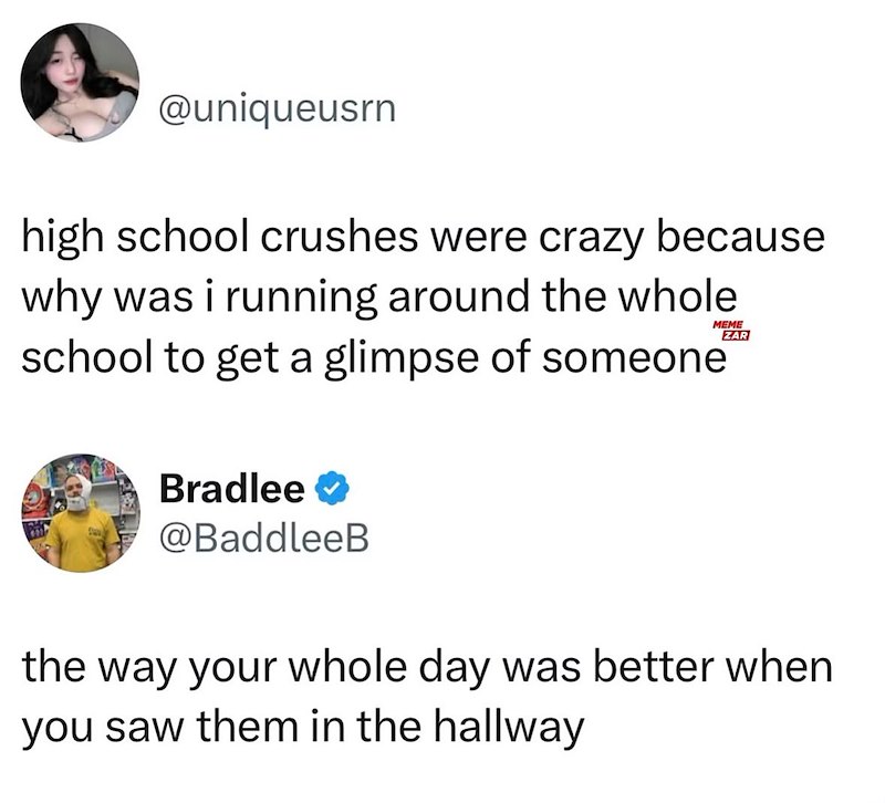 @uniqueusrn high school crushes were crazy because why was i running around the whole school to get a glimpse of someone MEME ZAR Bradlee → @BaddleeB the way your whole day was better when you saw them in the hallway