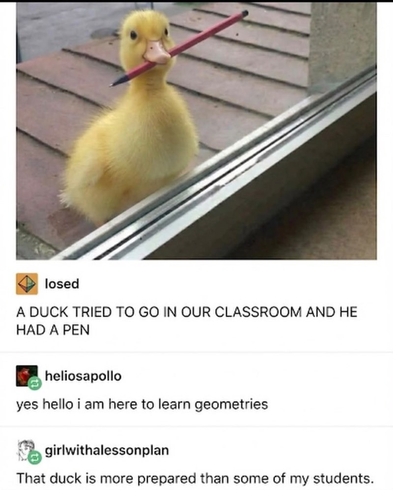 losed A DUCK TRIED TO GO IN OUR CLASSROOM AND HE HAD A PEN heliosapollo yes hello i am here to learn geometries girlwithalessonplan That duck is more prepared than some of my students.