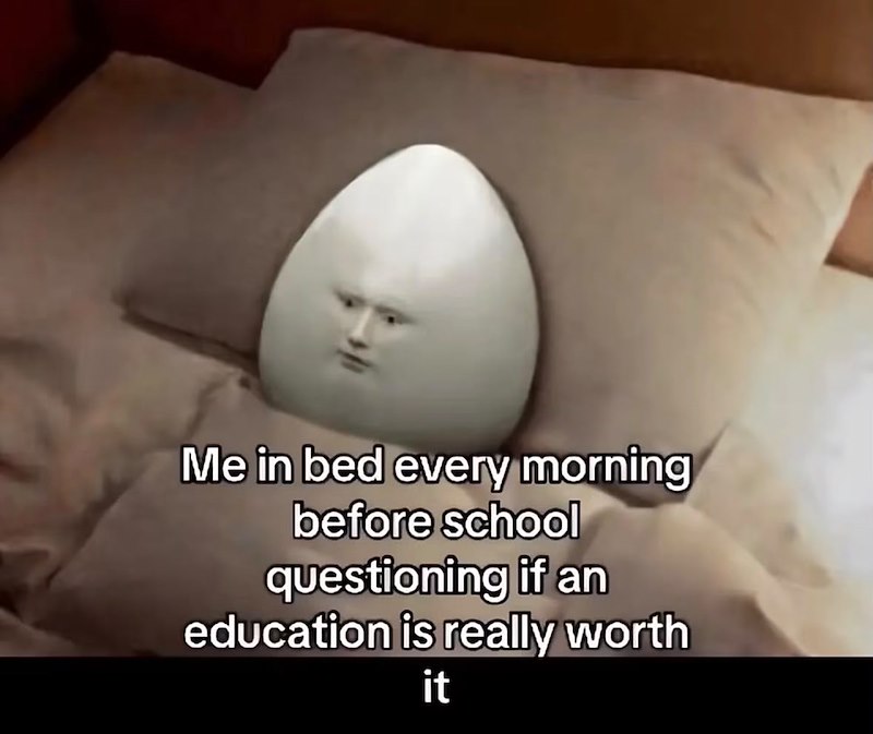 Me in bed every morning before school questioning if an education is really worth it
