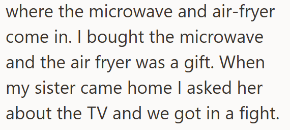 where the microwave and air-fryer come in. I bought the microwave and the air fryer was a gift. When my sister came home I asked her about the TV and we got in a fight.