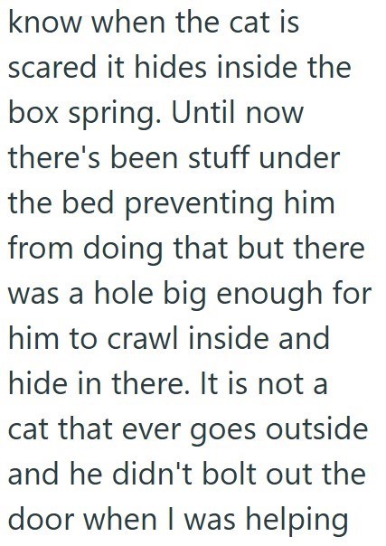 know when the cat is scared it hides inside the box spring. Until now there's been stuff under the bed preventing him from doing that but there was a hole big enough for him to crawl inside and hide in there. It is not a cat that ever goes outside and he didn't bolt out the door when I was helping