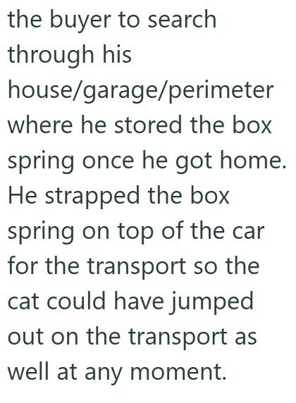 the buyer to search through his house/garage/perimeter where he stored the box spring once he got home. He strapped the box spring on top of the car for the transport so the cat could have jumped out on the transport as well at any moment.