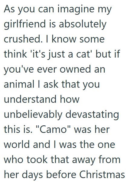 As you can imagine my girlfriend is absolutely crushed. I know some think 'it's just a cat' but if you've ever owned an animal I ask that you understand how unbelievably devastating this is. "Camo" was her world and I was the one who took that away from her days before Christmas