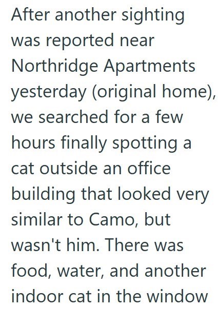 After another sighting was reported near Northridge Apartments yesterday (original home), we searched for a few hours finally spotting a cat outside an office building that looked very similar to Camo, but wasn't him. There was food, water, and another indoor cat in the window