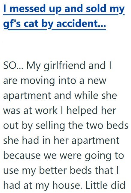 I messed up and sold my gf's cat by accident... SO... My girlfriend and I are moving into a new apartment and while she was at work I helped her out by selling the two beds she had in her apartment because we were going to use my better beds that I had at my house. Little did