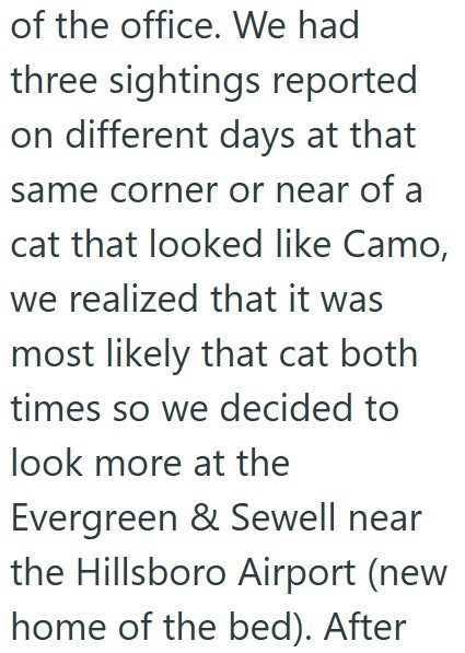 of the office. We had three sightings reported on different days at that same corner or near of a cat that looked like Camo, we realized that it was most likely that cat both times so we decided to look more at the Evergreen & Sewell near the Hillsboro Airport (new home of the bed). After