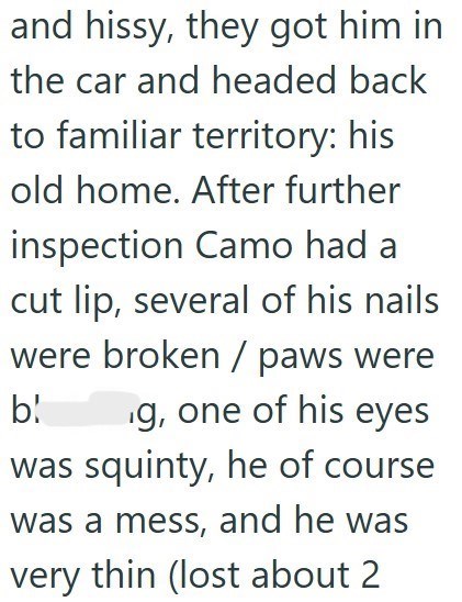 and hissy, they got him in the car and headed back to familiar territory: his old home. After further inspection Camo had a cut lip, several of his nails were broken / paws were b! g, one of his eyes was squinty, he of course was a mess, and he was very thin (lost about 2