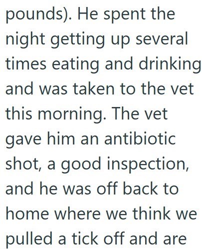 pounds). He spent the night getting up several times eating and drinking and was taken to the vet this morning. The vet gave him an antibiotic shot, a good inspection, and he was off back to home where we think we pulled a tick off and are