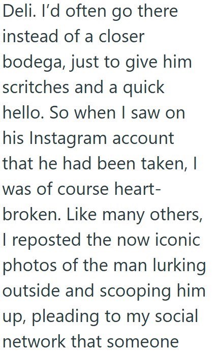 Deli. I'd often go there instead of a closer bodega, just to give him scritches and a quick hello. So when I saw on his Instagram account that he had been taken, I was of course heart- broken. Like many others, I reposted the now iconic photos of the man lurking. outside and scooping him up, pleading to my social network that someone