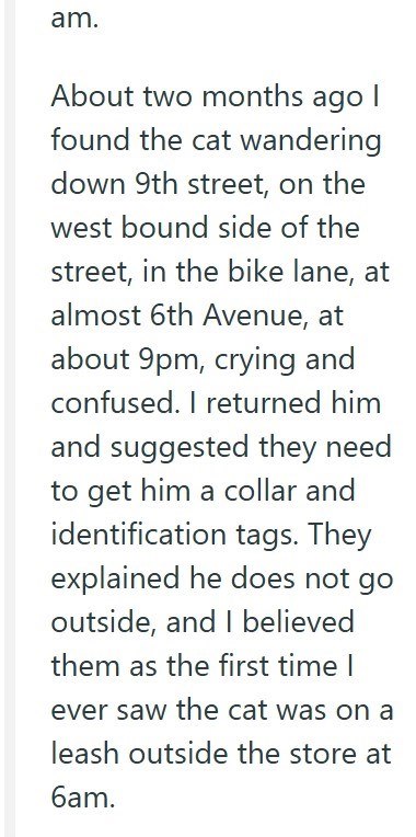 am. About two months ago I found the cat wandering down 9th street, on the west bound side of the street, in the bike lane, at almost 6th Avenue, at about 9pm, crying and confused. I returned him and suggested they need to get him a collar and identification tags. They explained he does not go outside, and I believed them as the first time I ever saw the cat was on a leash outside the store at 6am.