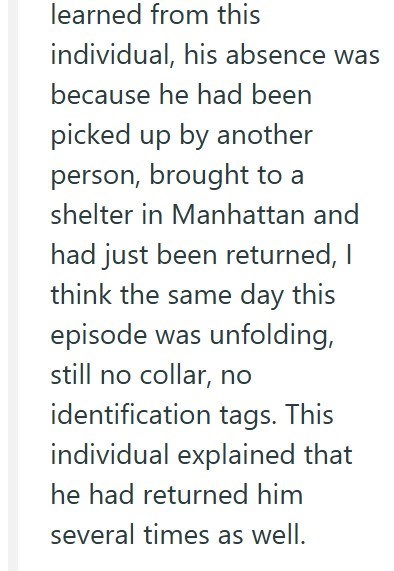 learned from this individual, his absence was because he had been picked up by another person, brought to a shelter in Manhattan and had just been returned, I think the same day this episode was unfolding, still no collar, no identification tags. This individual explained that he had returned him several times as well.
