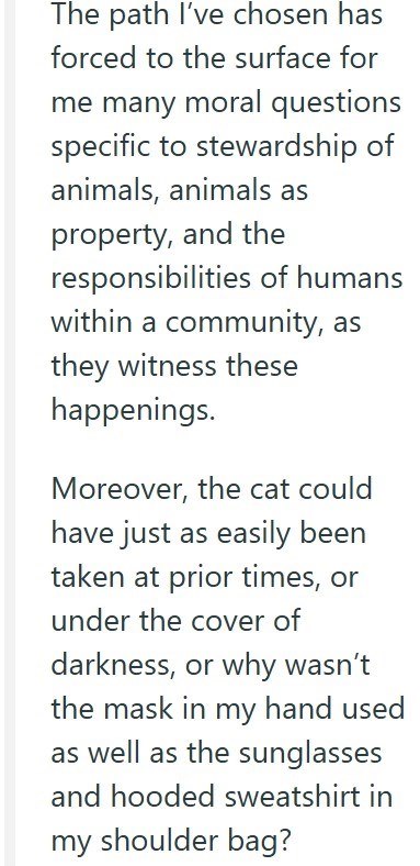 The path I've chosen has forced to the surface for me many moral questions specific to stewardship of animals, animals as property, and the responsibilities of humans within a community, as they witness these happenings. Moreover, the cat could have just as easily been taken at prior times, or under the cover of darkness, or why wasn't the mask in my hand used as well as the sunglasses and hooded sweatshirt in my shoulder bag?