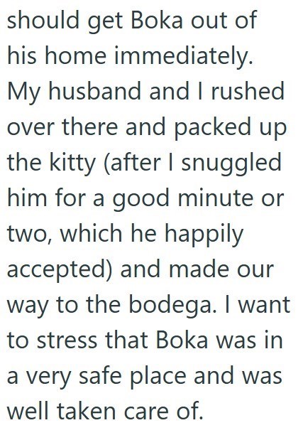 should get Boka out of his home immediately. My husband and I rushed over there and packed up the kitty (after I snuggled him for a good minute or two, which he happily accepted) and made our way to the bodega. I want to stress that Boka was in a very safe place and was well taken care of.