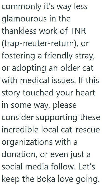 commonly it's way less glamourous in the thankless work of TNR (trap-neuter-return), or fostering a friendly stray, or adopting an older cat with medical issues. If this story touched your heart in some way, please consider supporting these incredible local cat-rescue organizations with a donation, or even just a social media follow. Let's keep the Boka love going.