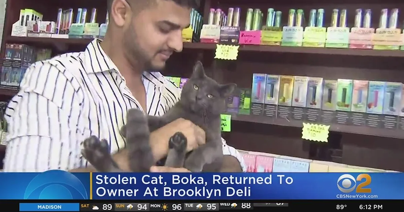MADISON SAT Stolen Cat, Boka, Returned To Owner At Brooklyn Deli 89 SUN 94 MON. 96 TUE 95 WED 88 CBSNewYork.com 89° 6:12 PM