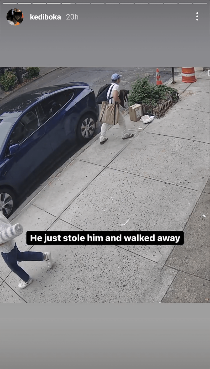 kediboka 20h * He just stole him and walked away