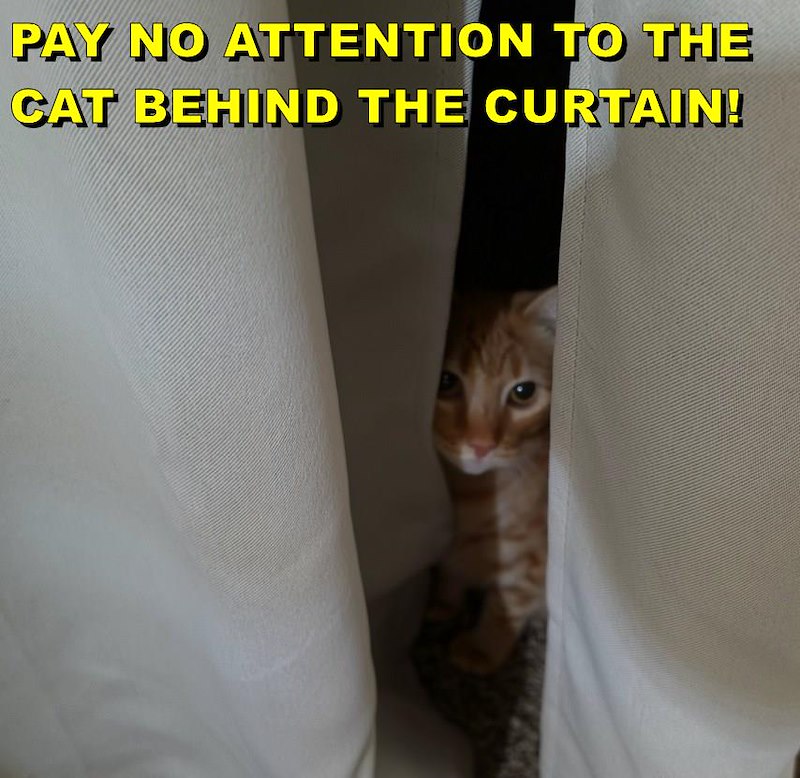 PAY NO ATTENTION TO THE CAT BEHIND THE CURTAIN!