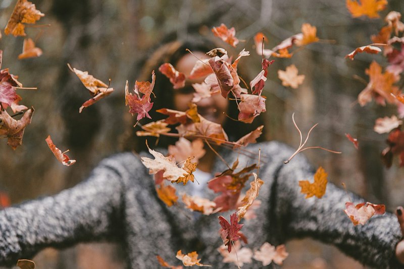 Person surrounded by a falling maple leaf in autumn.