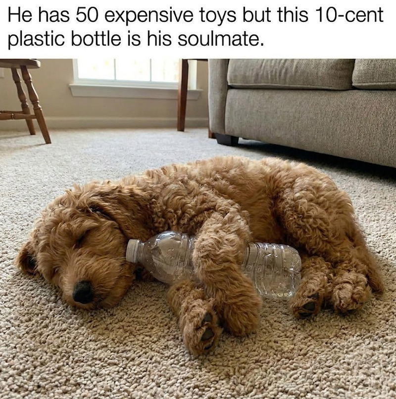 He has 50 expensive toys but this 10-cent plastic bottle is his soulmate.