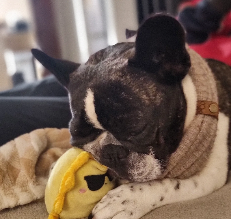 Cheezburger Image 10669315072