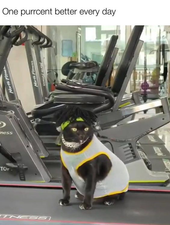 Eness TOr North Fitnes TNESS One purrcent better every day North Fitness North Fitness