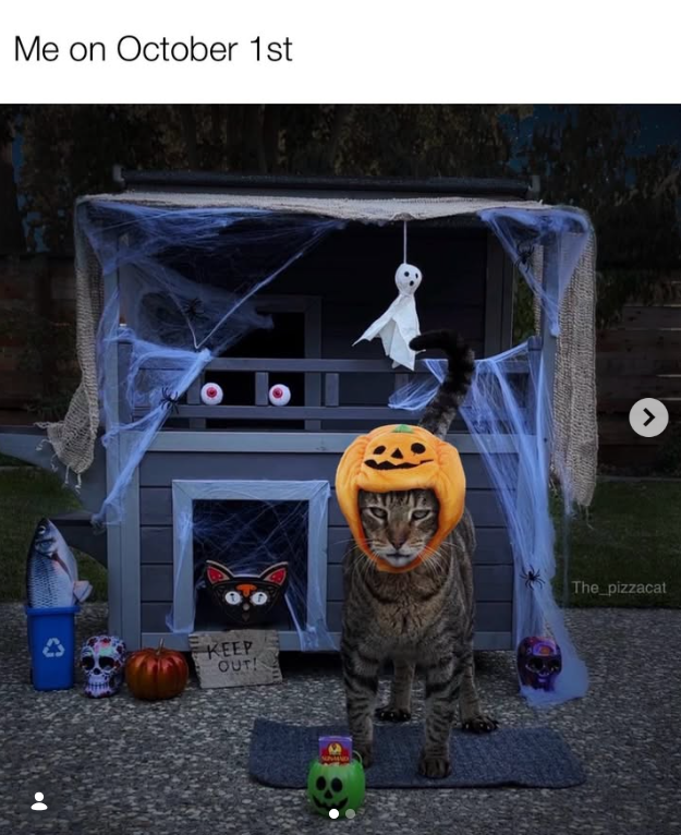 Me on October 1st KEEP OUT! > The pizzacat