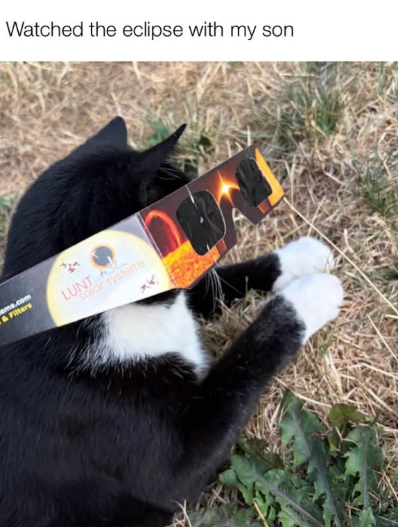 Watched the eclipse with my son ems.com & Filters LUNTA solar systems