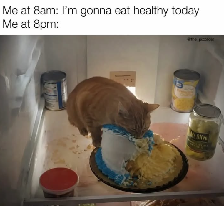 Me at 8am: I'm gonna eat healthy today Me at 8pm: @the_pizzacat Mt. Olive NOSHER OBE