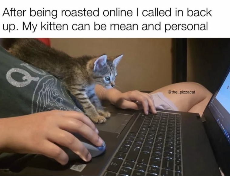After being roasted online I called in back. up. My kitten can be mean and personal 10 9 @the_pizzacat
