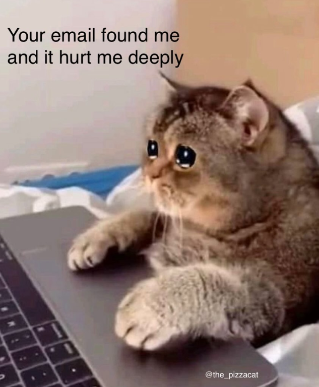 Your email found me and it hurt me deeply @the_pizzacat