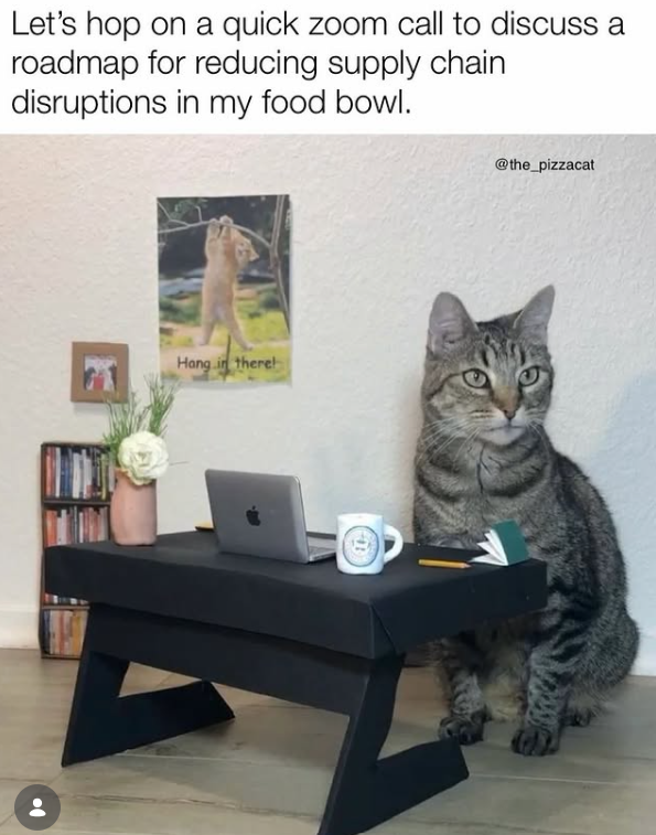 Let's hop on a quick zoom call to discuss a roadmap for reducing supply chain disruptions in my food bowl. Hang in there! @the_pizzacat