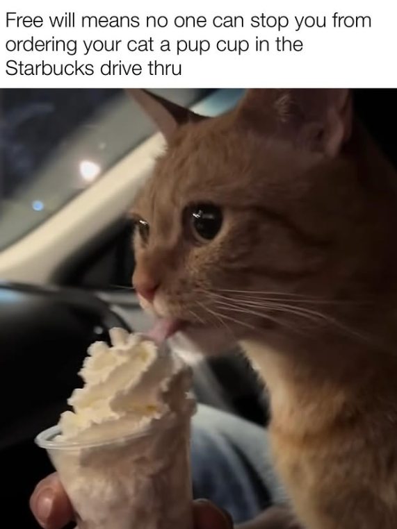 Free will means no one can stop you from ordering your cat a pup cup in the Starbucks drive thru