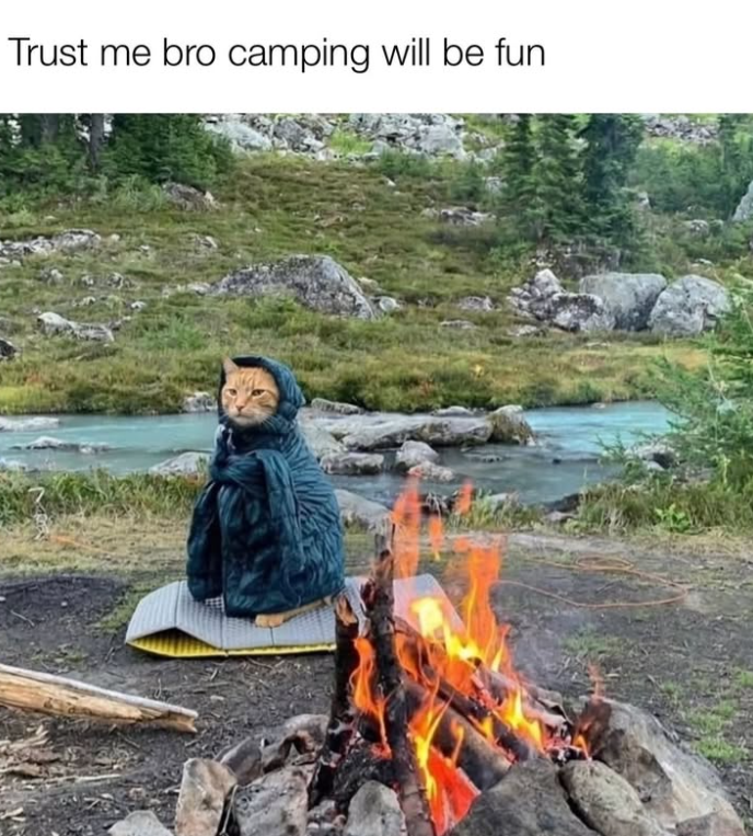Trust me bro camping will be fun