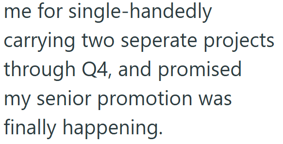 me for single-handedly carrying two seperate projects through Q4, and promised my senior promotion was finally happening.
